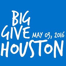 Big-Give-Houston-2016-1